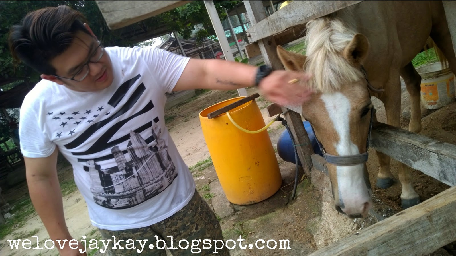 Broga Rabbit Fun Land (Rabbit Farm in Semenyih, Malaysia) 马来西亚兔子乐园